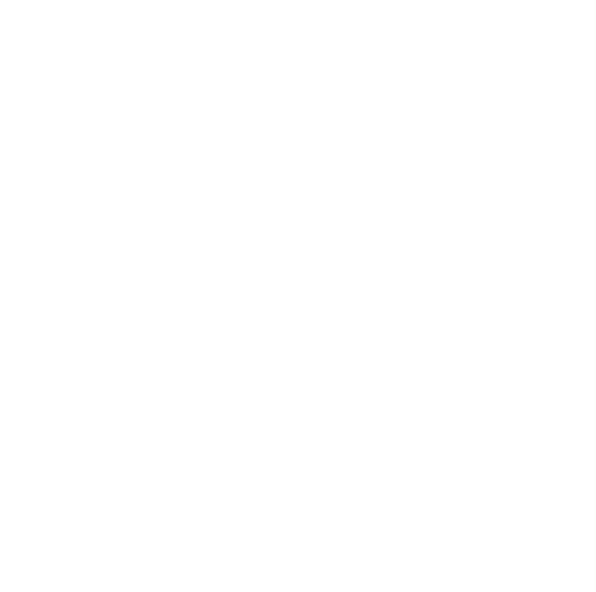 a101 logo