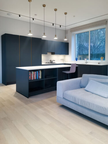 Синяя кухня с островом и книжной полкой вострове